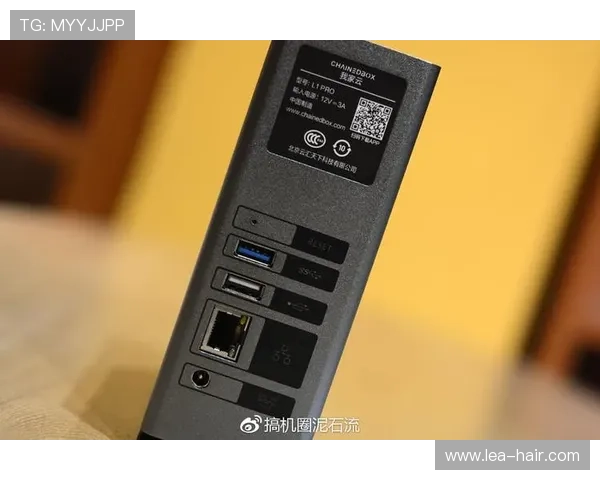 开云数据下载操作流程全解析，帮助新手快速上手数据下载与应用